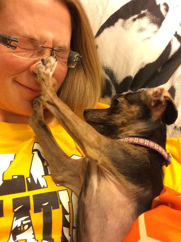 ChiTownChiweeni's tweet photo. @KathrynLainey @dog_rates @Dumbo STAHP MAKING FUN OF ME, MOM! https://t.co/VlcKVvbwTc