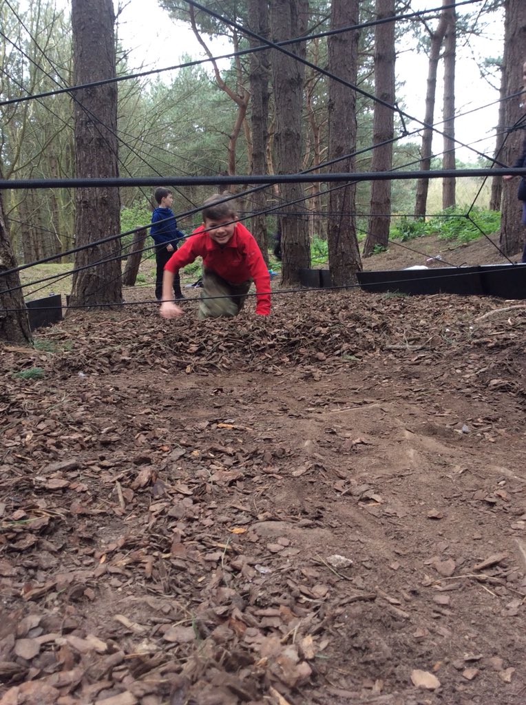 gtellinghamsch's tweet image. 