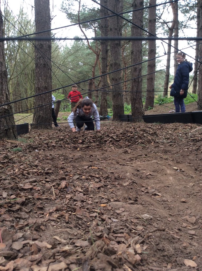 gtellinghamsch's tweet image. 