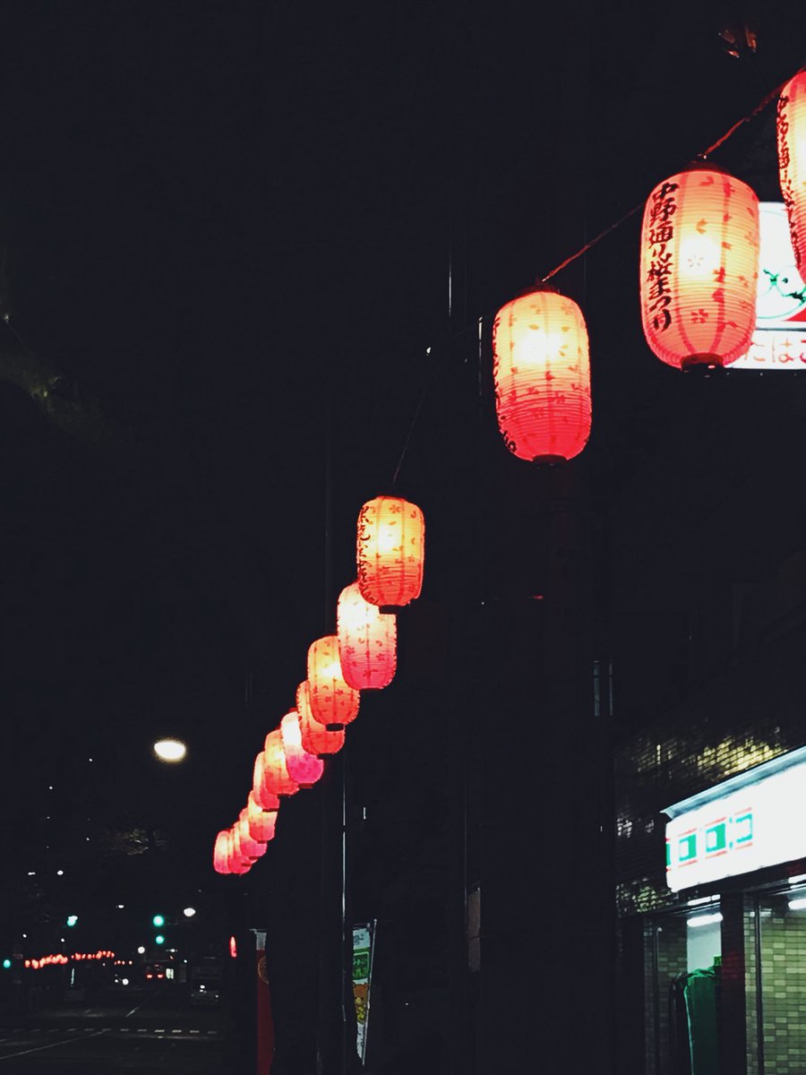 中野通りの桜並木も凄くキレイですよー！お散歩がてらお立ち寄りください。
上高田3-40-3  山田ビル2F
Sloth
#新井薬師 #中野 #多国籍料理 #居酒屋 #bar #中野タイ料理 #カフェ #タイ料理 #ガパオライス #カオマンガイ #花見 #春 #パクチー #アジアン #エスニック #フォー