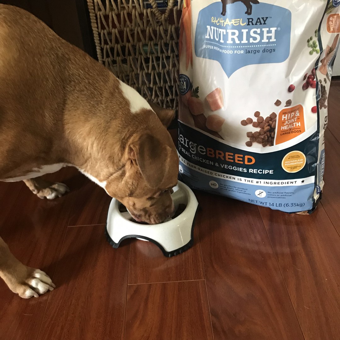 FindingSanity1's tweet image. Our pup is loving the new dog food we received from @Influenster #NutrishPets #complimentary