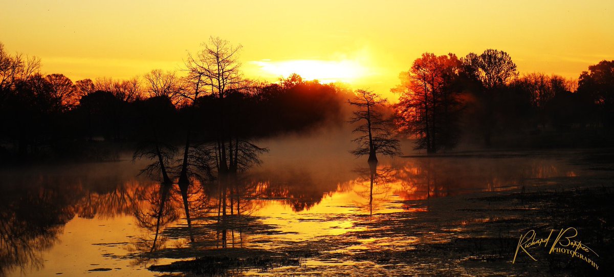 SimplySAwrap's tweet image. 