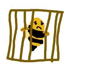 BeeKnifeParty's tweet photo. Finally released from jail! https://t.co/sdWvHawQfj