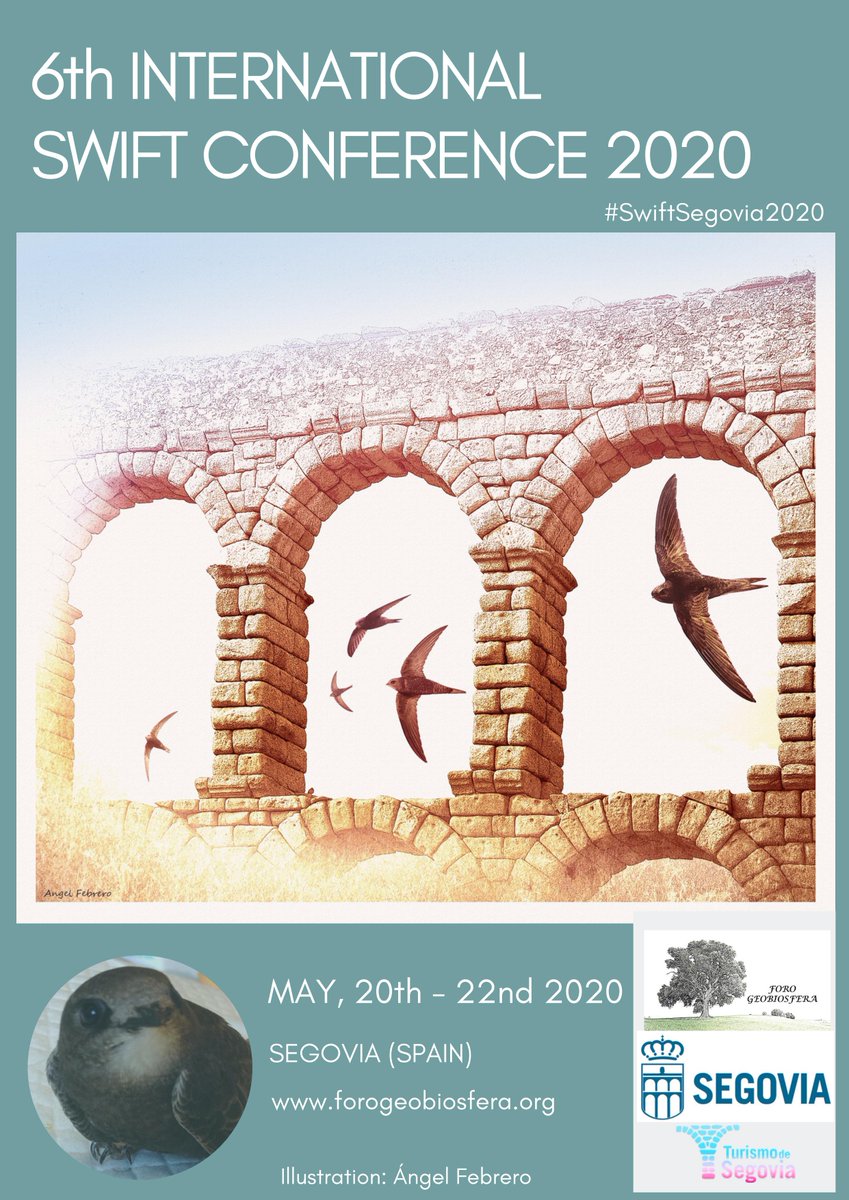ForoGeobiosfera's tweet photo. #Forogeobiosfera os invita a que os unáis a nosotros en #Segovia para celebrar el 6º Congreso Internacional de #vencejos, el primero que se va a realizar en el #Península #Ibérica del 20 al 22 de mayo de 2020. Síguenos con #SwiftSegovia2020 https://t.co/beQujqO0Af