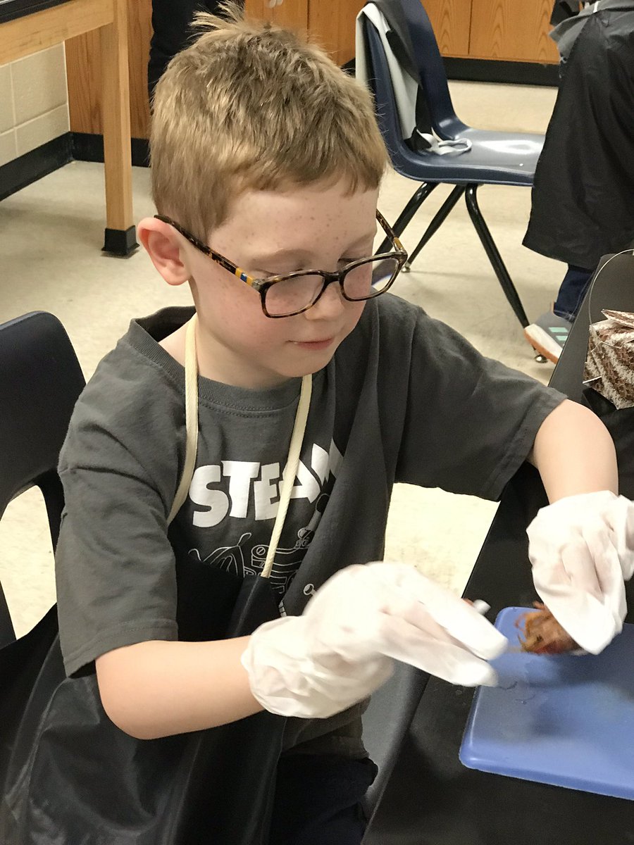 lamphere_kim's tweet photo. #TrittSTEM  #trittes Using the microscope to learn about the parts of the crayfish. https://t.co/6AFTr2zJ1y