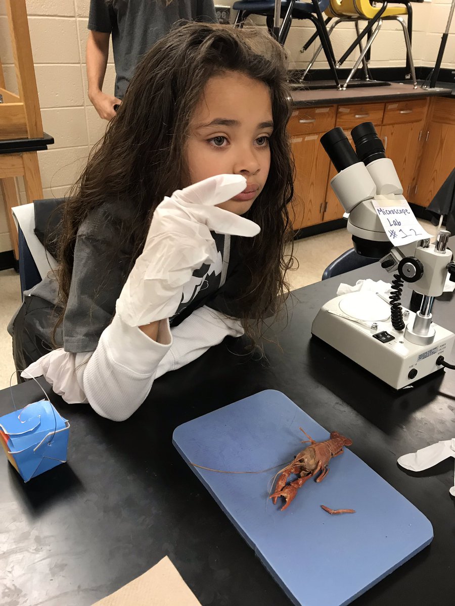 lamphere_kim's tweet photo. #TrittSTEM  #trittes Using the microscope to learn about the parts of the crayfish. https://t.co/6AFTr2zJ1y