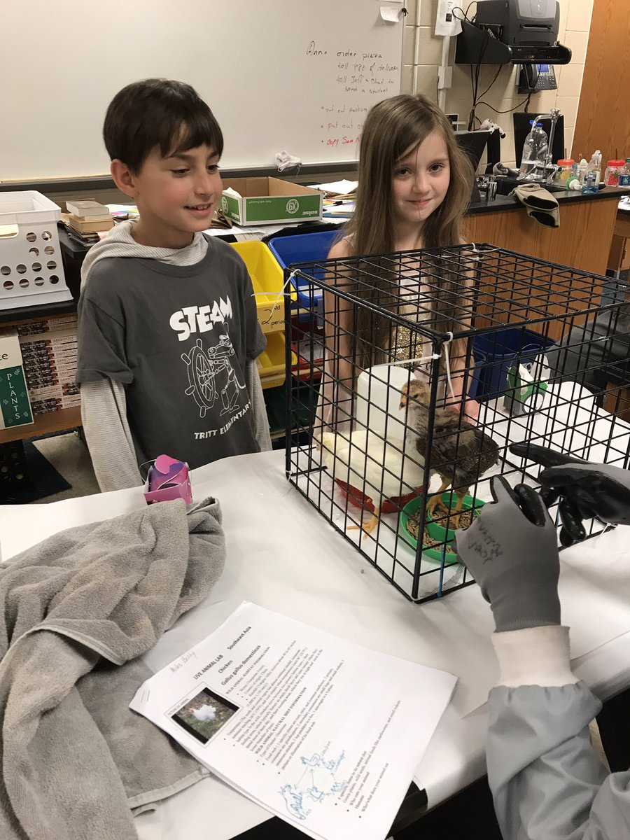 lamphere_kim's tweet photo. #TrittSTEM #Trittes Zoology class! We learned about the adaptations that the animals have that enables them to survive in their habitats. This was a favorite of most the students. https://t.co/mMBgSDsJDF
