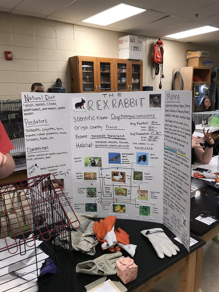 lamphere_kim's tweet photo. #TrittSTEM #Trittes Zoology class! We learned about the adaptations that the animals have that enables them to survive in their habitats. This was a favorite of most the students. https://t.co/mMBgSDsJDF