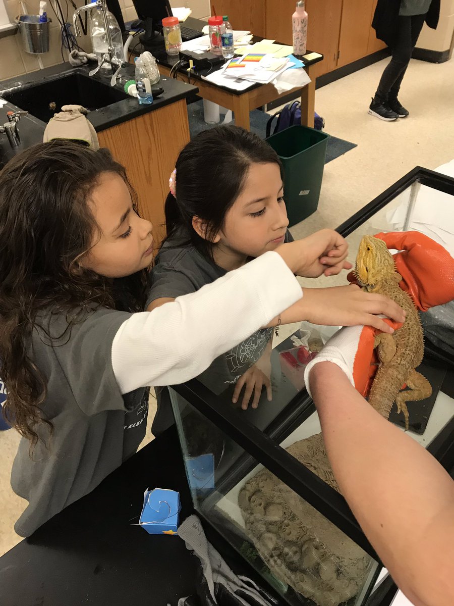 lamphere_kim's tweet photo. #TrittSTEM #Trittes Zoology class! We learned about the adaptations that the animals have that enables them to survive in their habitats. This was a favorite of most the students. https://t.co/mMBgSDsJDF