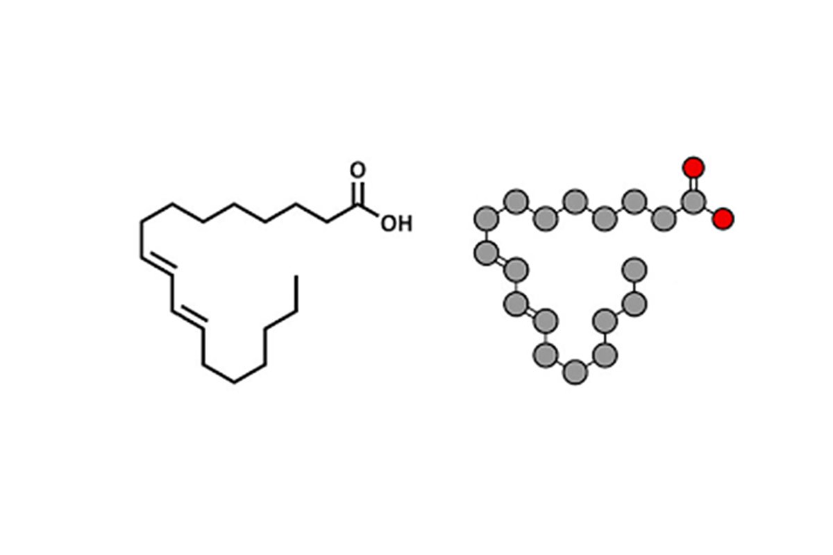 MarbleGenetics's tweet image. Foods that are naturally high in CLA have fewer negative health effects. #cla