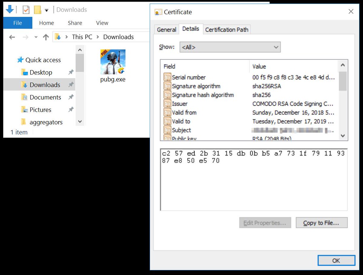 Roblox player exe not working now Roblox player exe not working now