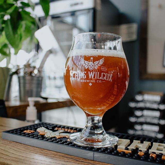 Introducing our newest beer on tap, Seeing Dubbel!😍😍 This Trappist style beer brings the Belgian yeast character, with some fruity, bubblegum aromas. Very malty and slightly caramelly on the palate. Come in and try some today 🍻 6.5% ABV 18 IBU 14 SRM… ift.tt/2FAIPQe