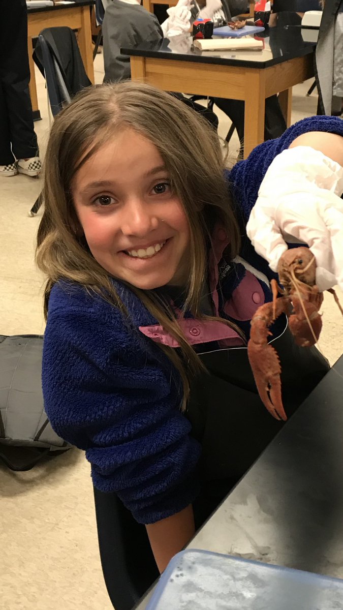 lamphere_kim's tweet photo. #trittes #TrittSTEM https://t.co/mpFaz5MENq