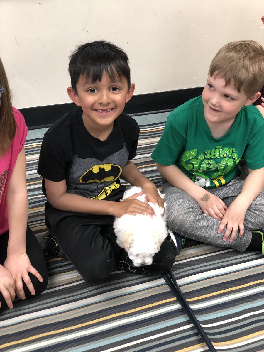 Nothing like the excitement a few puppies can bring a Grade 1 class!