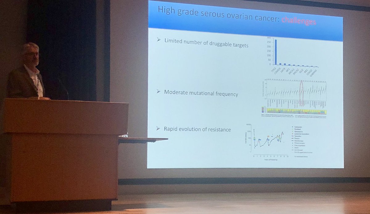 DrCFord's tweet photo. Brilliant overview of current research in #OvarianCancer by David Bowtell incorporating recent work by superstar senior post docs @DaleGarsed @DrLizChristie #NECTA2019 #drugdevelopment2019 @PeterMacCC https://t.co/lusZOUPr3y