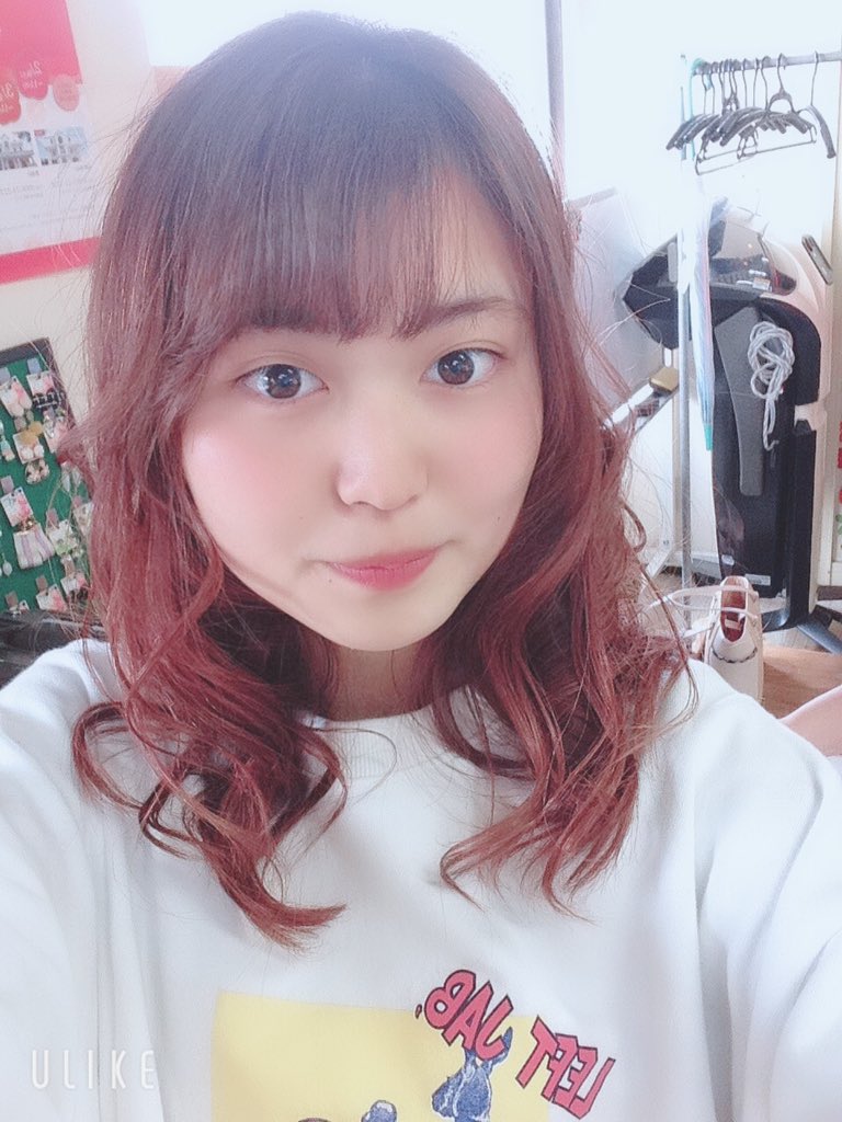 Holistic Hair Holistic1008 Twitter