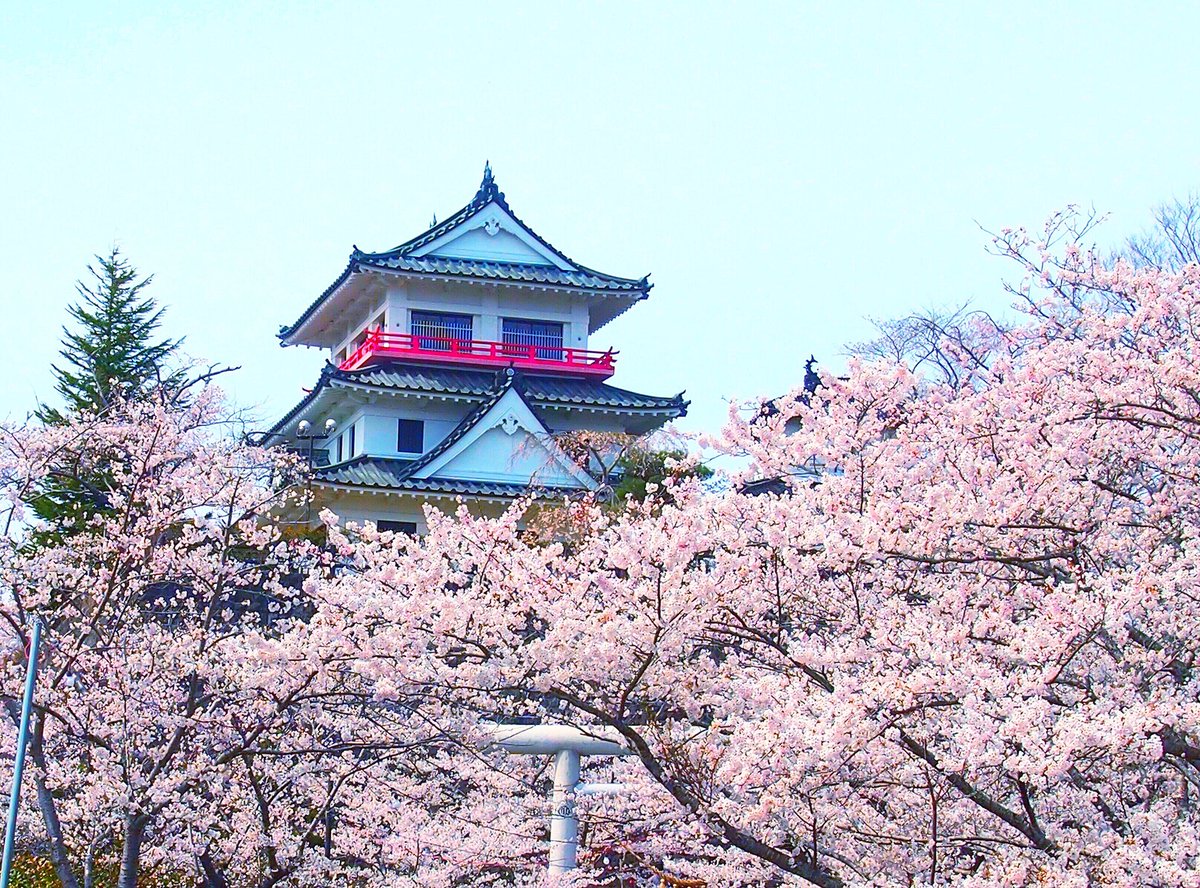Osamu A Na Twitteru 昨日3月27日は さくらの日 でした 宮城県内の桜はまだこれからなので 以前撮った城山公園 涌谷町 の写真を 宮城 遠田郡 涌谷 涌谷城 城山公園 涌谷神社 神社 わくわく涌谷 Miyagi Wakuya Cherryblossomviewing Cherryblossoms Osamu A Na Twitteru 昨日3月27日は さくらの日 でした 宮城県内の桜はまだこれからなので 以前撮った城山公園 涌谷町 の写真を 宮城 遠田郡 涌谷 涌谷城 城山公園 涌谷神社 神社 わくわく涌谷 Miyagi Wakuya Cherryblossomviewing Cherryblossoms