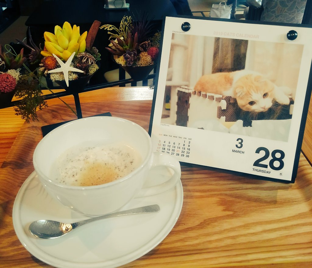 CafeLibrakobe's tweet photo. おはようございますp(^-^)q
この日めくりネコカレンダー、毎日めくるのが楽しいです(,,・д・)
これが300円って！！
今日も素敵な１日になりますように★
https://t.co/9Owr5xPHGf
#カフェリーブラ
#古民家カフェ
#ネコカレンダー https://t.co/tySdFlm0B8