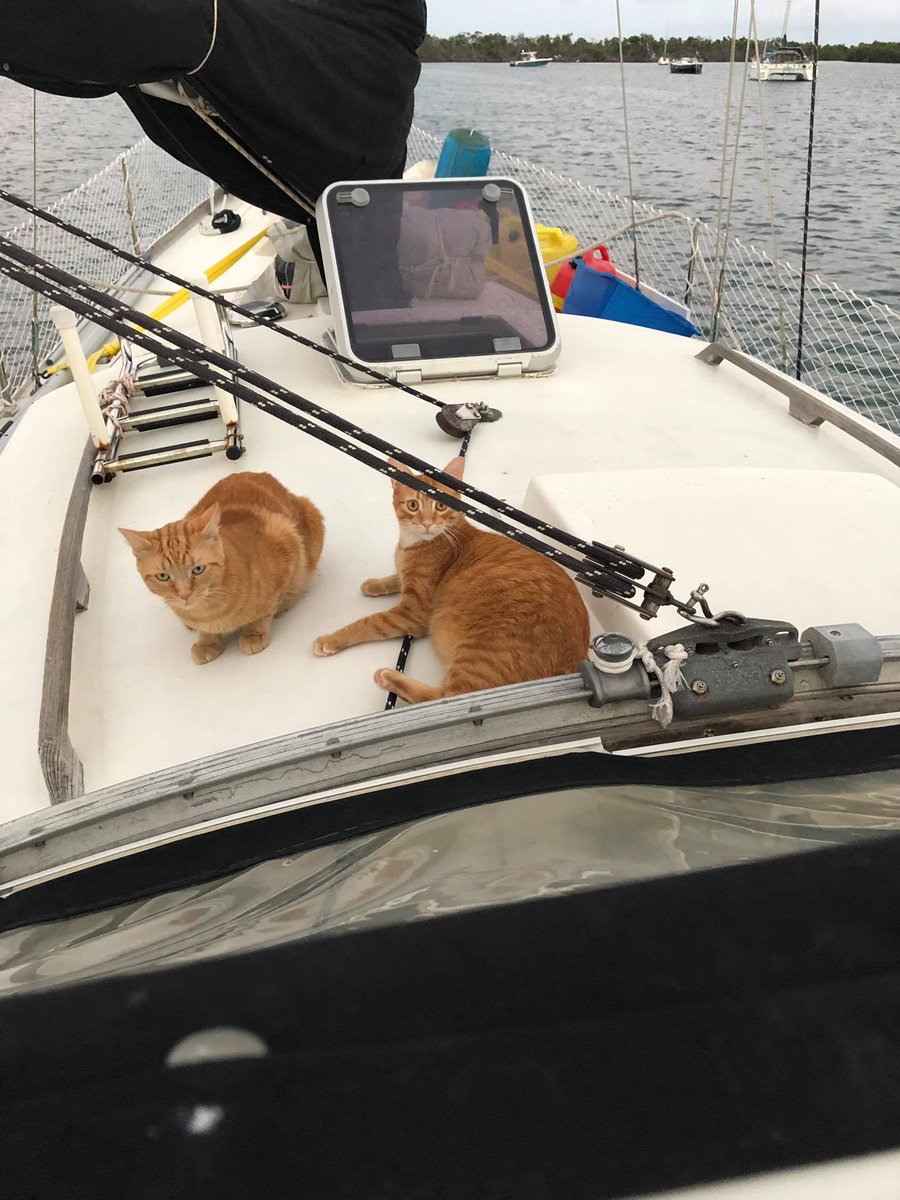 Fil_Passport's tweet photo. Enjoying our last few moments on our Empress but can't wait to move and start a new life with my boys 🙏😍 #TwoMonkeysSailing https://t.co/b3P1NeQWDT
