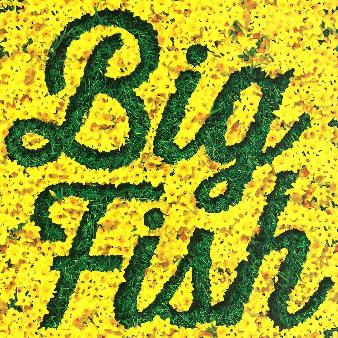The cast for Big Fish has been released.  It’s time to get to work on another fantastic musical.