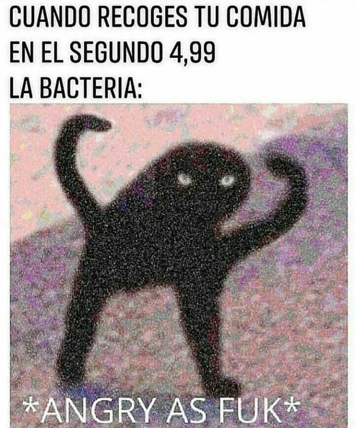 Frases de kvicha kvaratskhelia (@_enzinio) on Twitter photo 