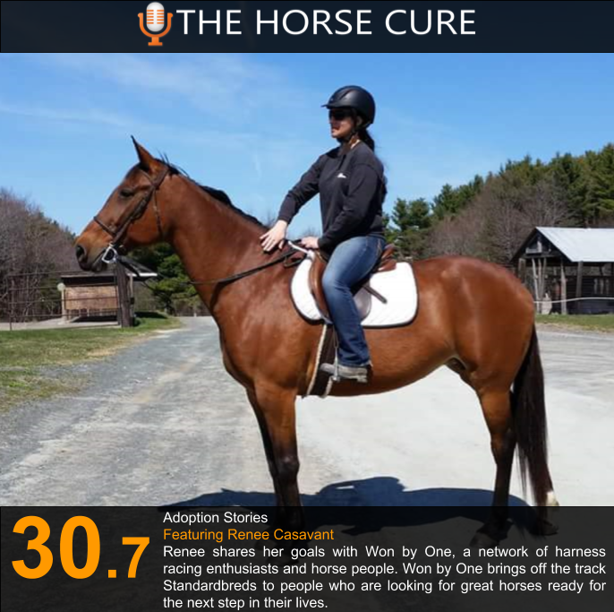 horsecurepod's tweet photo. Check out our latest episode with Renee Casavant from Won by One. #WonByOneStandardbreds #harnessracing #horseadoption #adoptionstories #TheHorseCure #HorsePodcast #HorsesInTransition #OffTheTrackStandardbreds #WonByOne #Pacers #Trotters #ROCTheStandardbred https://t.co/26g3KIeqPZ