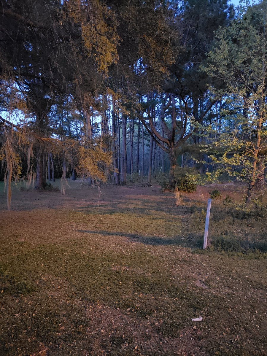 jmp303chillin's tweet photo. Love this place in South Carolina. I'm proud to have lived here. I'm going to miss everything this great State has to offer, but I'll never forget the memories
#sainthelenaisland
#backyardpic
 @NikkiHaley https://t.co/a5ZBehh1Ax