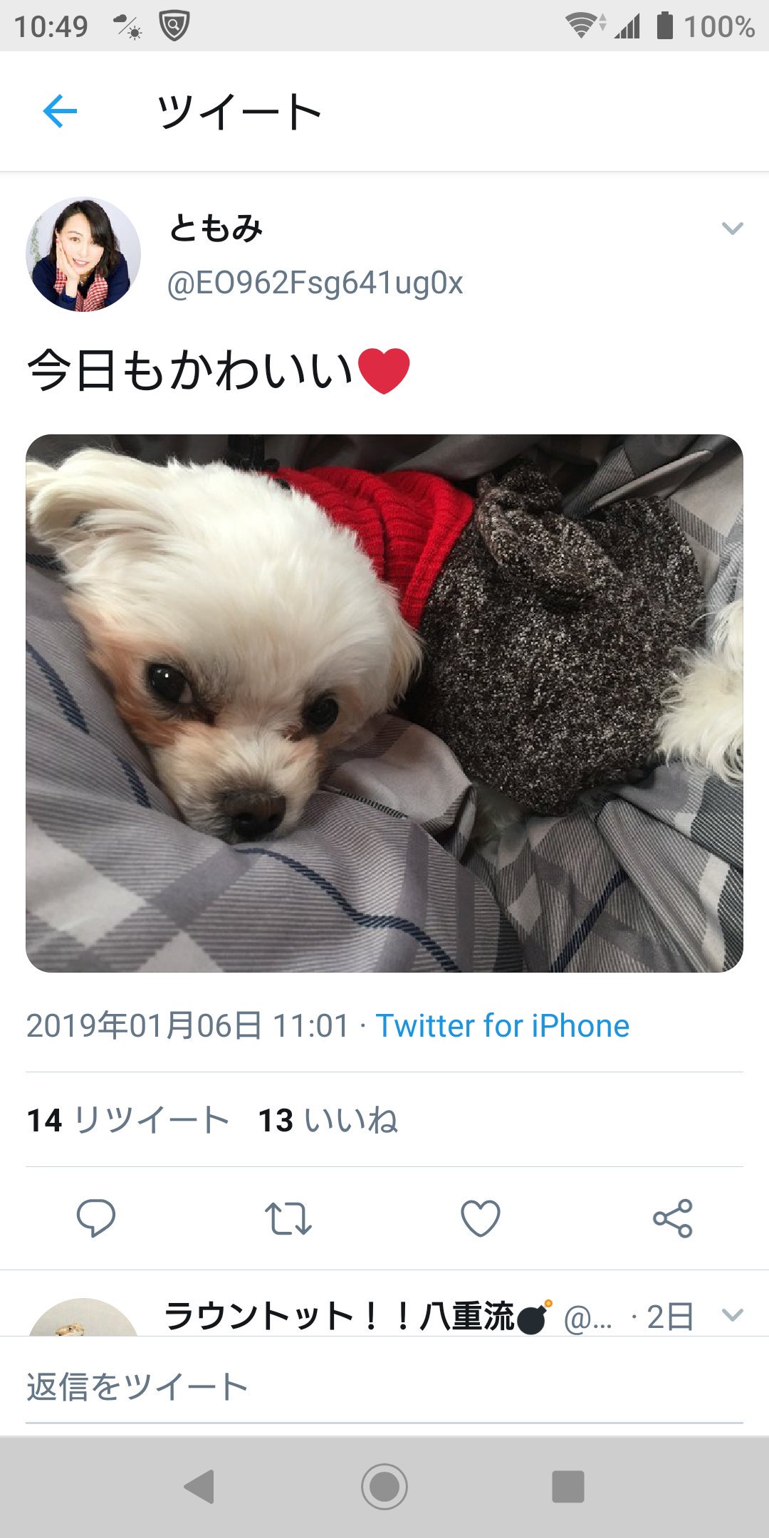 千菊丸 この可愛い犬をリードで引きずって殴る蹴るした女 虐待bba 絶対許すな T Co Vhql8aiemz Twitter
