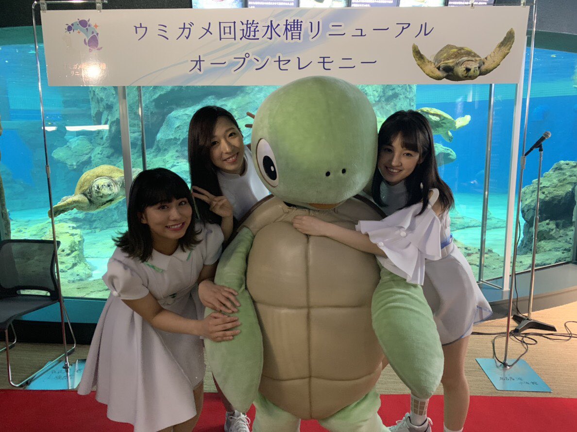 Team Shachi シャチ Twitter પર 名古屋港水族館の ウミガメ回遊水槽リニューアルオープンセレモニーにteam Shachiから咲良 大黒 坂本が参加しました テープカットにもかかわらせていただきました ぜひ春休みは名古屋港水族館へ Teamshachi Teamshachi