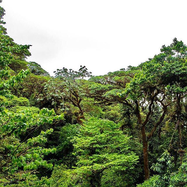 Portia 🌿 | Travel Writer tweet media