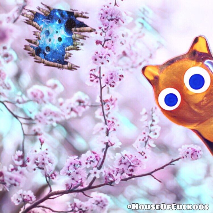 HouseOfCuckoos's tweet photo. ๐...When youโre tryna enjoy the #cherryblossom trees blooming but some inter-galactic freak has to break thru the space-time continuum to ruin your good spring day! What nerve! @houseofcuckoos #funny #cat #interdemensional #japan #washingtondccherryblossoms #weird #cool #awesome https://t.co/QUvKOQ00L6