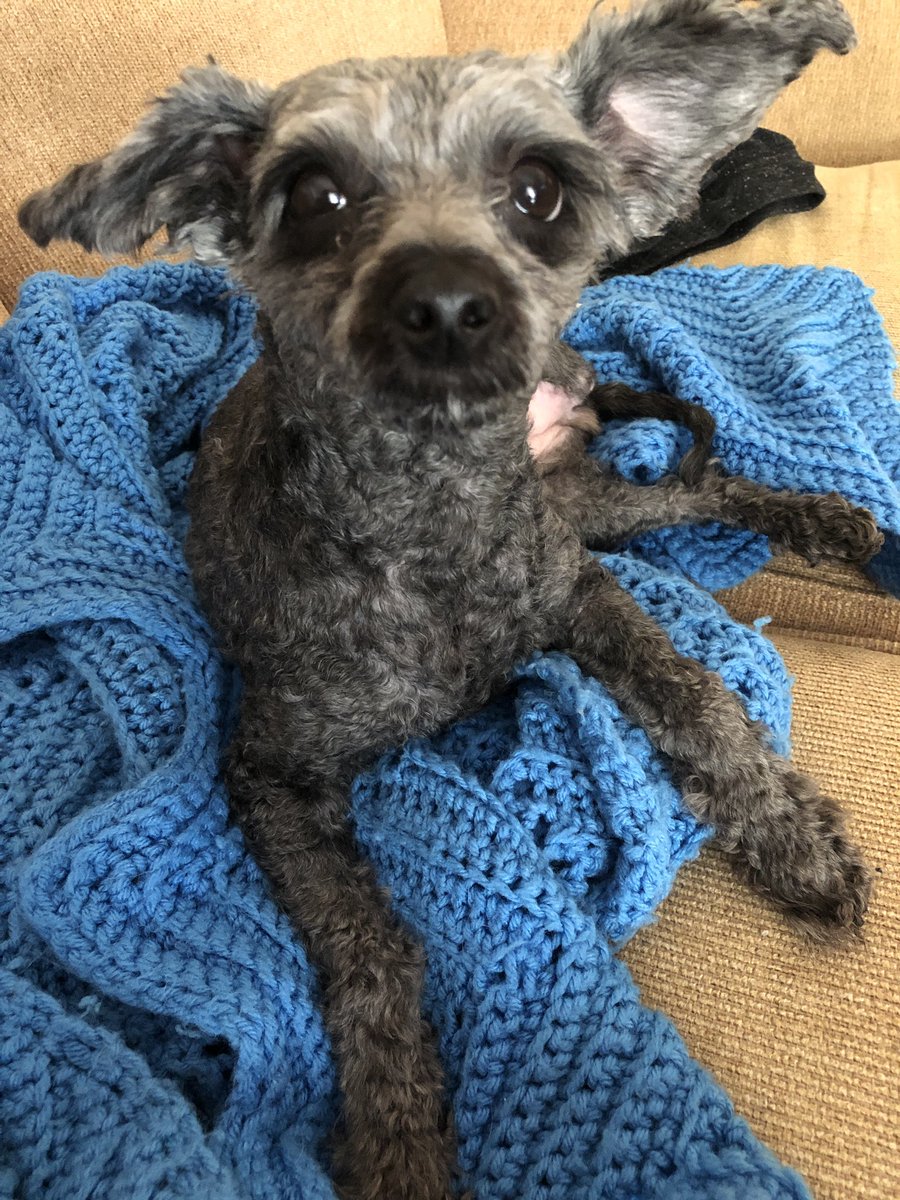 WareAmanda's tweet image. The bravest little girl I know. ❤️