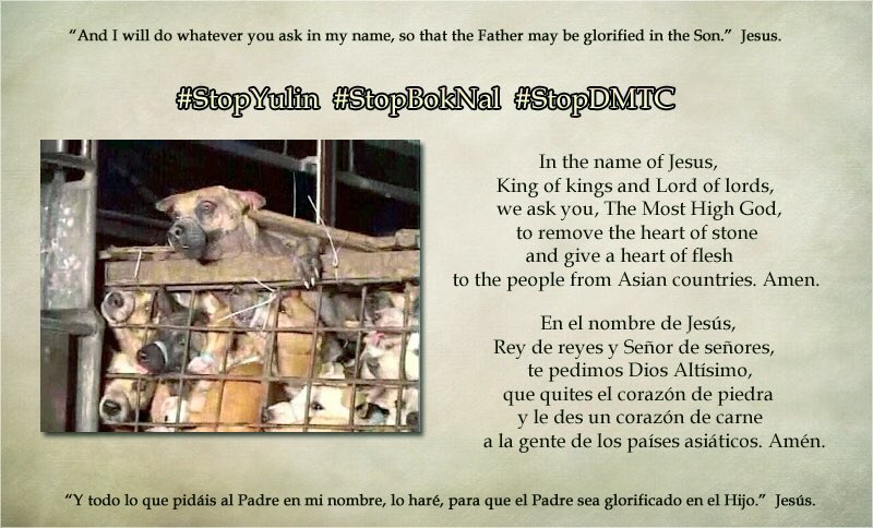 girasol2201's tweet photo. @OnlyNomaly @shishnfips @PBottomleyMP #StopYulin #StopDMTC #WorldDogShow2019 #EndCatMeatTrade #BeCrueltyFree
#EndDogMeatTrade #StopBoknal #StopHorror #ChooseMercyOverCruelty https://t.co/Rp0hlf3qvM