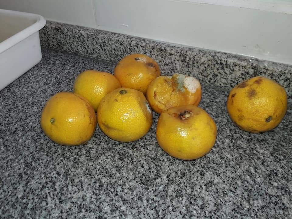 QuilmesLimpio's tweet photo. ♻"ORGANIZACIONES DENUNCIAN!"♻
♻ "Si sos Vecin@ de Quilmes al igual que l@s que conformamos éste Foro, nuestra Página es un Espacio donde podés hacer visible, todo aquello de Utilidad para lograr el Quilmes que Tod@s nos Merecemos!." ♻

https://t.co/EiTxKs23A8 https://t.co/2JNg4lt1U0