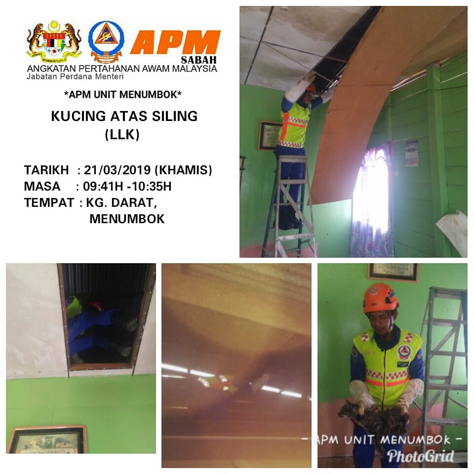 JPAMMenumbok's tweet photo. KES KUCING ATAS SILING
#apmunitmenumbok https://t.co/kxruGXsfcf