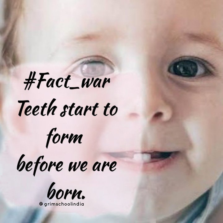 GRIMSCHOOLIND's tweet photo. #Fact_war #facts #knowledge #grim_school_india #GrimLiquidHandwash #healthy_hands #health #know_about_everything #know_you  #dentalhygienist #dental #doctor #children #students #school @GRIMSCHOOLIND @waris_masih @VisionIndia1998 @RotaractSAC https://t.co/cap8clxdY9