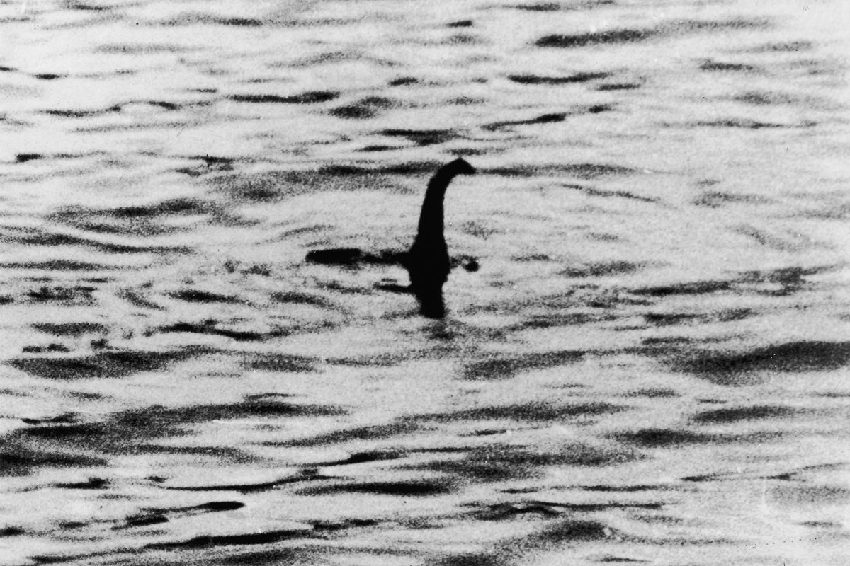 DonaldJTrumpJr's tweet photo. Adam Schiff said tonight on CNN that there’s already evidence of collusion that is public. The leader of the tinfoil hat brigade also provided this update to his lifelong search for the Loch Ness monster. https://t.co/wi1z5BiNur