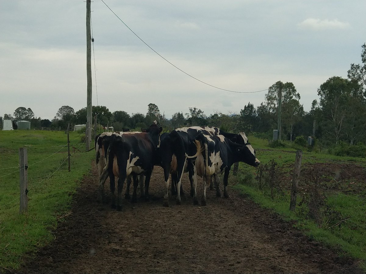 Target-N2O tweet media