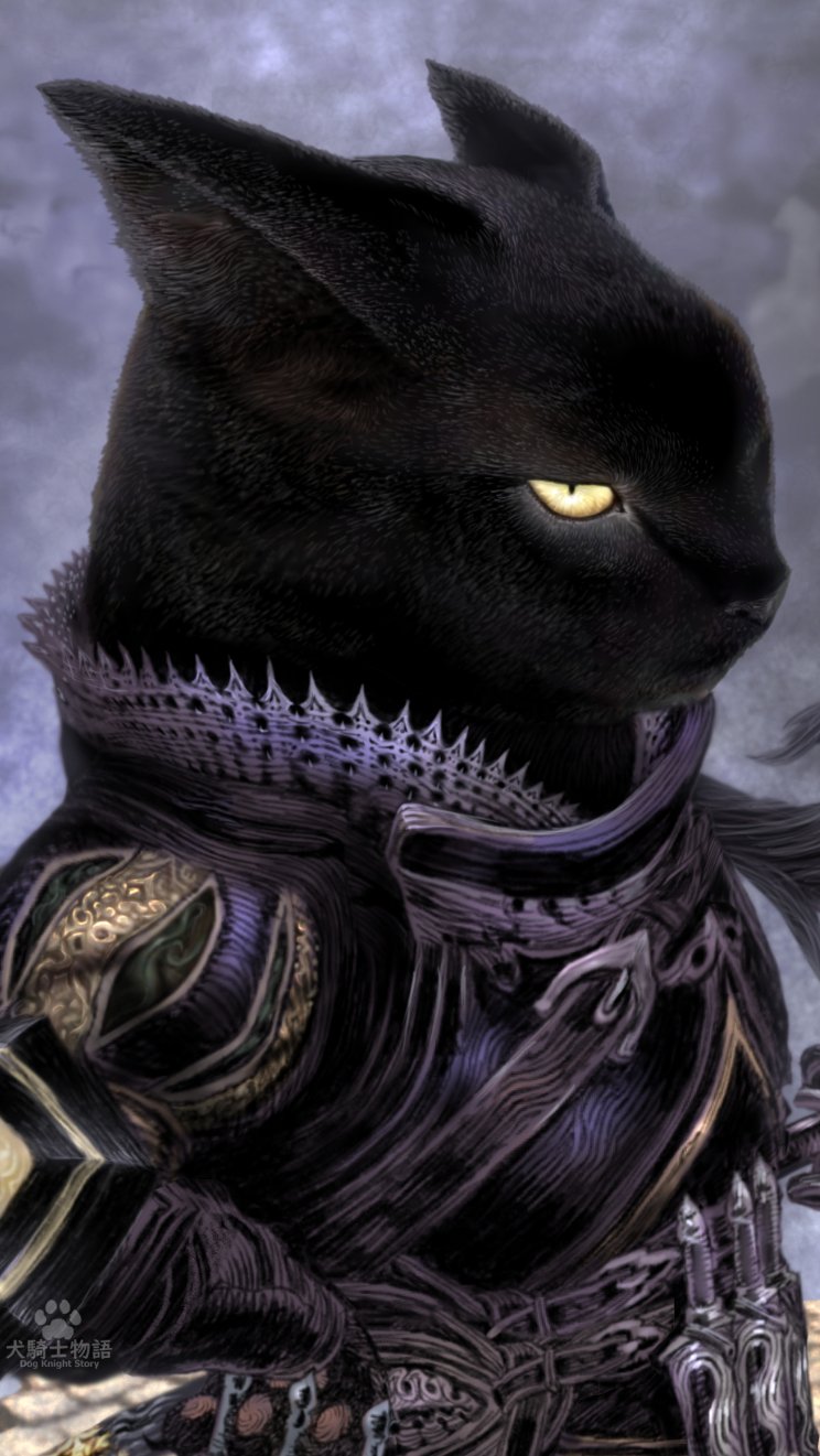 最も人気のある かっこいい 黒 猫 壁紙 無料のクールな画像 最も人気のある かっこいい 黒 猫 壁紙 無料のクールな画像