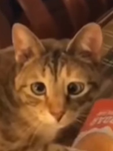 QueenExplosion_'s tweet image. Mood.