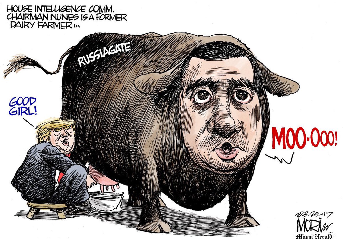 Trump: Devin Nunes is someday going to be hailed as a great American hero. Trump: Devin Nunes is someday going to be hailed as a great American hero.