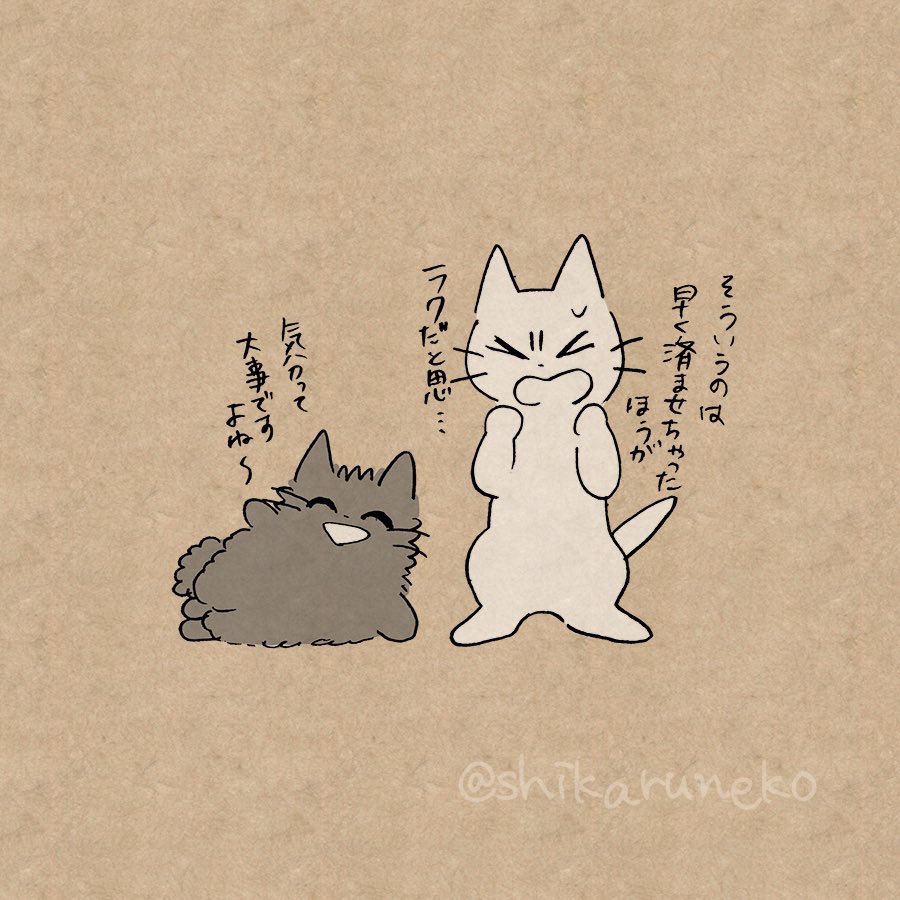 面倒なことをなんでも後回しにする人と、しかるねこと、あまやかすねこ 