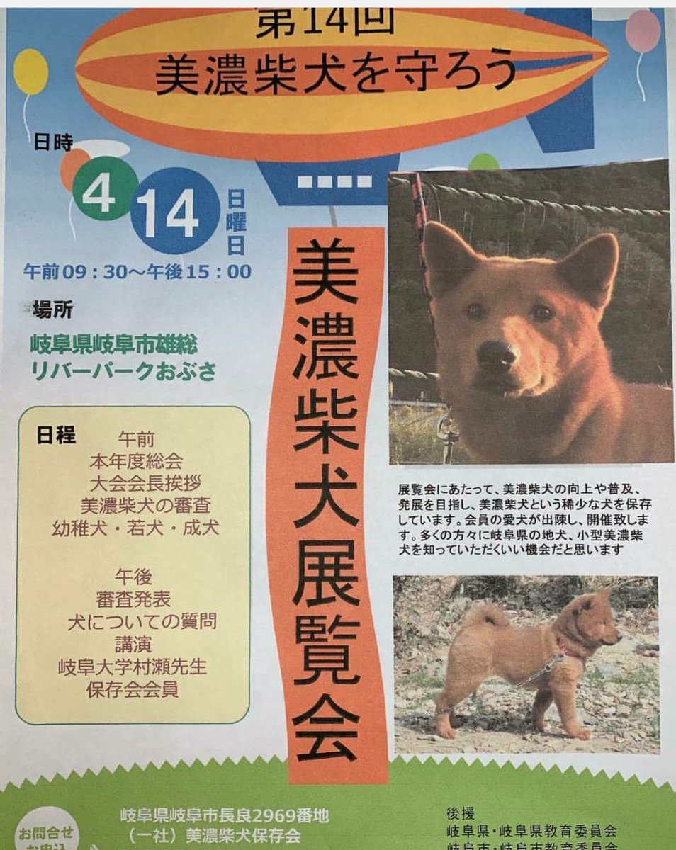 美濃柴犬ウメ 遊びに来てください 美濃柴犬展覧会 リバーパークおぶさ 見学大歓迎 美濃柴犬 柴犬 甲斐犬 四国犬 秋田犬 北海道犬 紀州犬 日本犬 美濃柴犬ウメ 遊びに来てください 美濃柴犬展覧会 リバーパークおぶさ 見学大歓迎 美濃柴犬 柴犬 甲斐犬 四国犬 秋田犬 北海道犬 紀州犬 日本犬