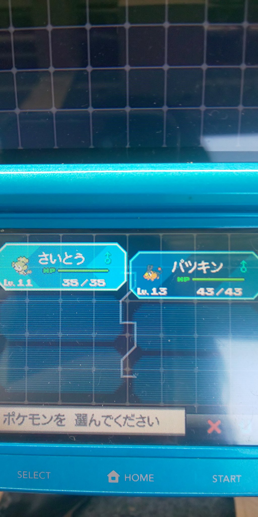 愛と絆のポケモンｂｗプレイ記録 Twitter