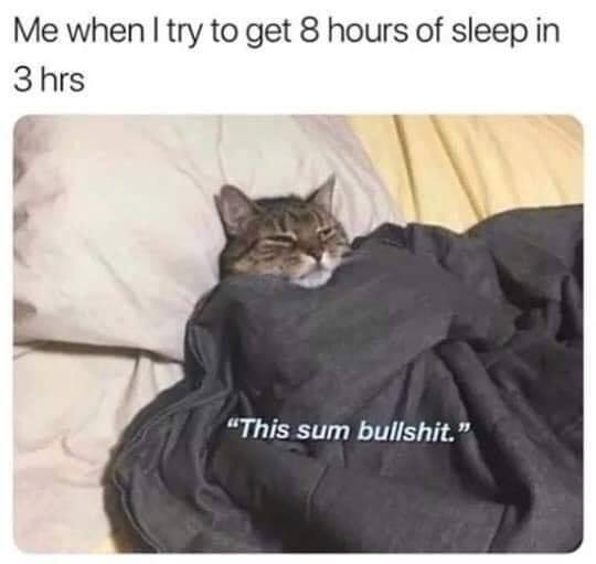 DomPict's tweet photo. TOP 75 Funny Cats Memes
https://t.co/AU70uhNVB8 https://t.co/AK9nKQxawM