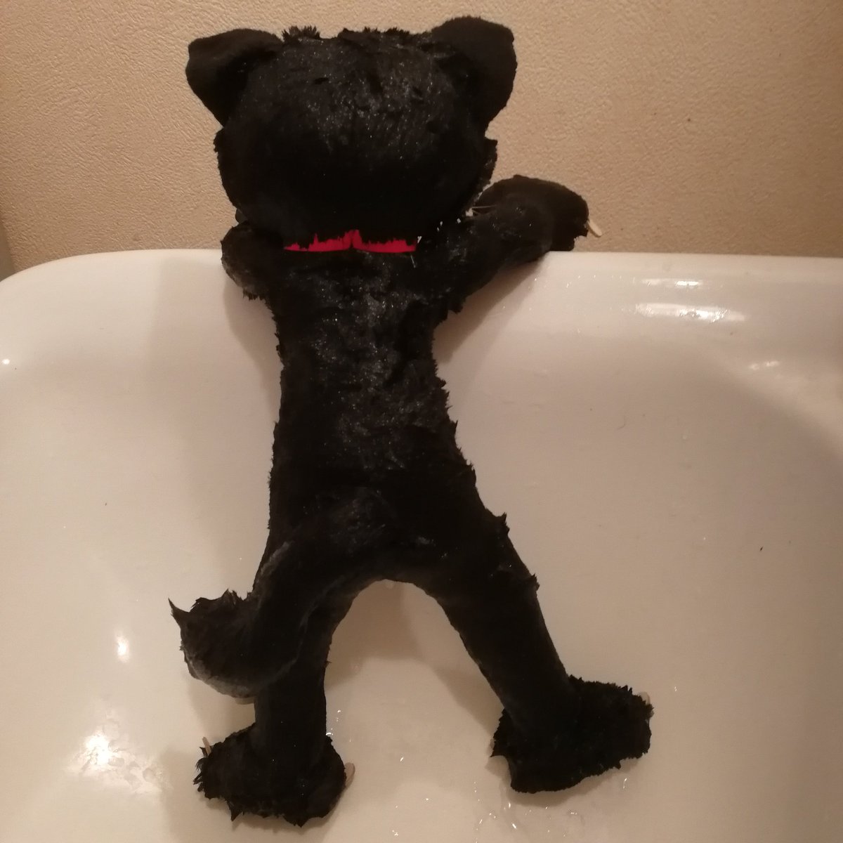 スクラッチキャット