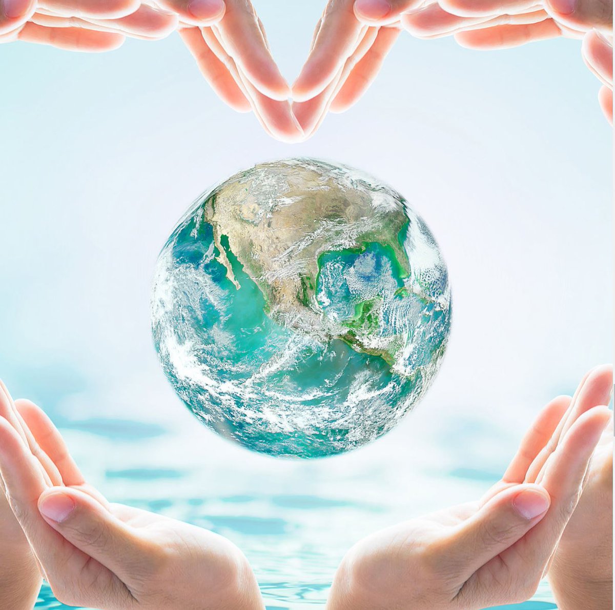 WTYWashington's tweet image. artemis.center