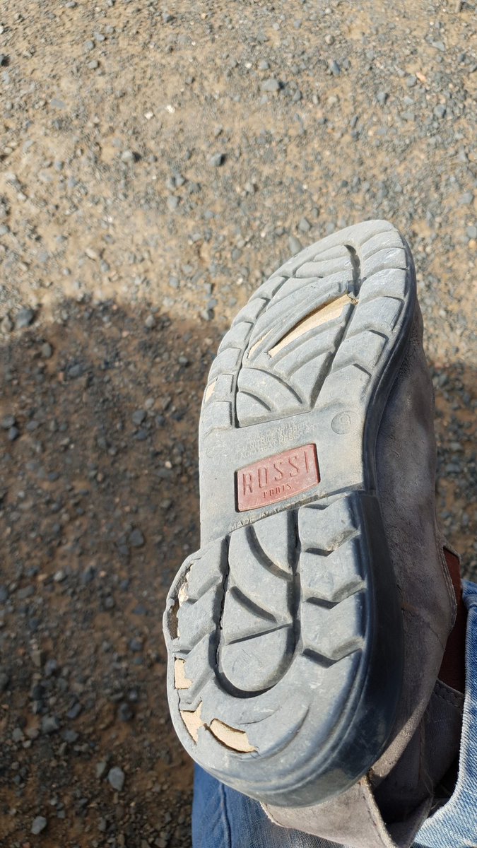 wolverine tarmac boa