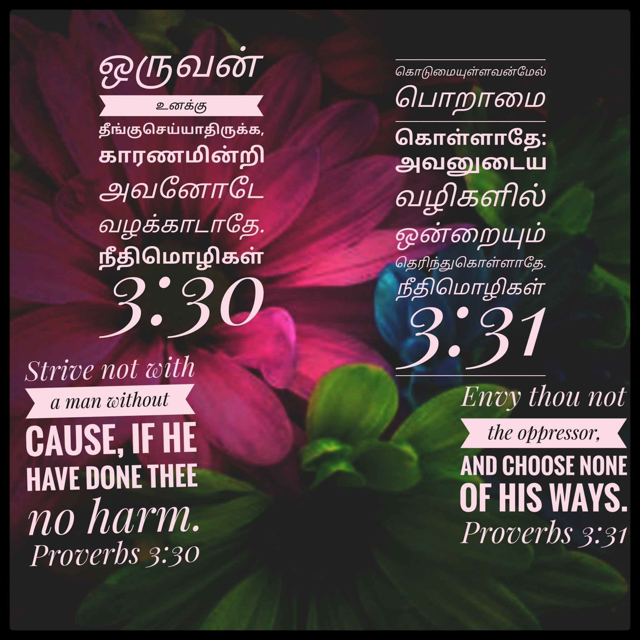 Viswasam Faith On Twitter Lord God Praisethelord Tamil Tamilbible Bible Proverbs Viswasam Faith Holybible Bibleverses Christian Protestant Holy Onlygod Amen English Jesus Joy Happy Lovely Twitter Good Words Envy Noharm Man