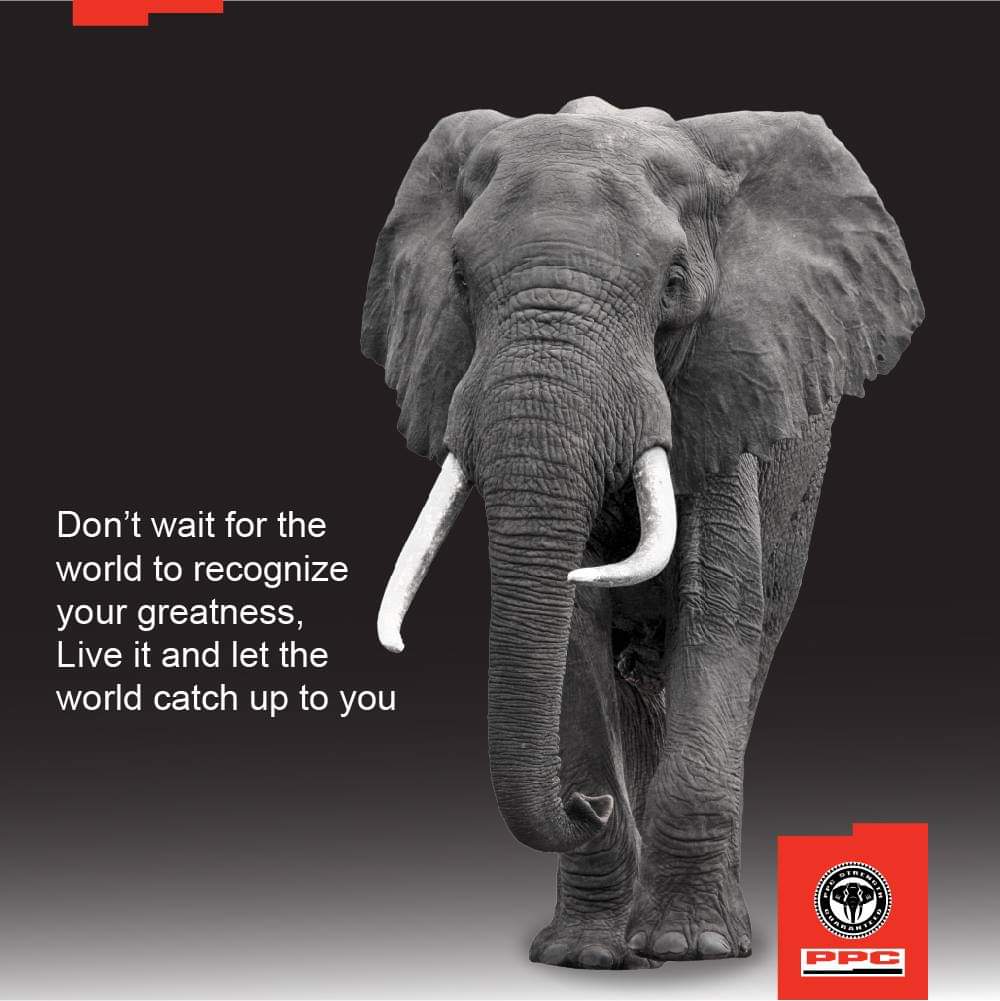 Mapuma25's tweet image. 